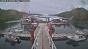 ./images/calvert/dock/20260831/dock20260831_161001M.jpg