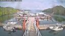 ./images/calvert/dock/20260831/dock20260831_165002M.jpg