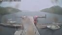 ./images/calvert/dock/20260901/dock20260901_150501M.jpg