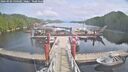 ./images/calvert/dock/20260903/dock20260903_140501M.jpg