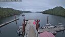 ./images/calvert/dock/20260919/dock20260919_073002M.jpg