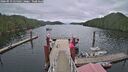 ./images/calvert/dock/20260919/dock20260919_125001M.jpg