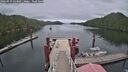 ./images/calvert/dock/20260919/dock20260919_133002M.jpg
