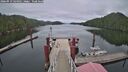 ./images/calvert/dock/20260919/dock20260919_144002M.jpg