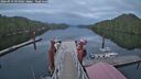 ./images/calvert/dock/20260919/dock20260919_194001M.jpg