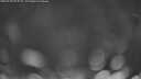 ./images/calvert/fitz-hugh-hecate/20250428/fitz-hugh-hecate20250428_054008M.jpg