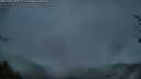 ./images/calvert/fitz-hugh-hecate/20250428/fitz-hugh-hecate20250428_055509M.jpg
