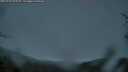 ./images/calvert/fitz-hugh-hecate/20250428/fitz-hugh-hecate20250428_060010M.jpg