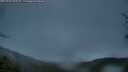 ./images/calvert/fitz-hugh-hecate/20250428/fitz-hugh-hecate20250428_060508M.jpg