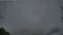 ./images/calvert/fitz-hugh-hecate/20250428/fitz-hugh-hecate20250428_061510M.jpg