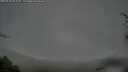 ./images/calvert/fitz-hugh-hecate/20250428/fitz-hugh-hecate20250428_062010M.jpg
