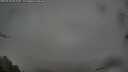 ./images/calvert/fitz-hugh-hecate/20250428/fitz-hugh-hecate20250428_062510M.jpg