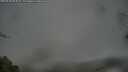./images/calvert/fitz-hugh-hecate/20250428/fitz-hugh-hecate20250428_063008M.jpg