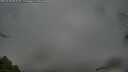 ./images/calvert/fitz-hugh-hecate/20250428/fitz-hugh-hecate20250428_063510M.jpg