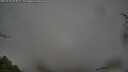 ./images/calvert/fitz-hugh-hecate/20250428/fitz-hugh-hecate20250428_064009M.jpg