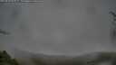 ./images/calvert/fitz-hugh-hecate/20250428/fitz-hugh-hecate20250428_064509M.jpg