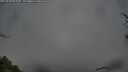 ./images/calvert/fitz-hugh-hecate/20250428/fitz-hugh-hecate20250428_065010M.jpg