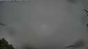 ./images/calvert/fitz-hugh-hecate/20250428/fitz-hugh-hecate20250428_065509M.jpg