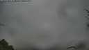 ./images/calvert/fitz-hugh-hecate/20250428/fitz-hugh-hecate20250428_070510M.jpg