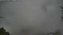 ./images/calvert/fitz-hugh-hecate/20250428/fitz-hugh-hecate20250428_071010M.jpg
