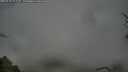 ./images/calvert/fitz-hugh-hecate/20250428/fitz-hugh-hecate20250428_071510M.jpg