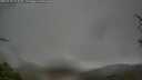./images/calvert/fitz-hugh-hecate/20250428/fitz-hugh-hecate20250428_072010M.jpg