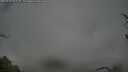 ./images/calvert/fitz-hugh-hecate/20250428/fitz-hugh-hecate20250428_072510M.jpg