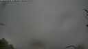 ./images/calvert/fitz-hugh-hecate/20250428/fitz-hugh-hecate20250428_073010M.jpg