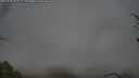 ./images/calvert/fitz-hugh-hecate/20250428/fitz-hugh-hecate20250428_073507M.jpg