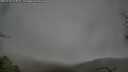 ./images/calvert/fitz-hugh-hecate/20250428/fitz-hugh-hecate20250428_074009M.jpg