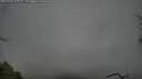./images/calvert/fitz-hugh-hecate/20250428/fitz-hugh-hecate20250428_074509M.jpg