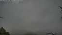./images/calvert/fitz-hugh-hecate/20250428/fitz-hugh-hecate20250428_075010M.jpg