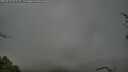 ./images/calvert/fitz-hugh-hecate/20250428/fitz-hugh-hecate20250428_075508M.jpg
