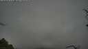 ./images/calvert/fitz-hugh-hecate/20250428/fitz-hugh-hecate20250428_080009M.jpg