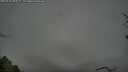 ./images/calvert/fitz-hugh-hecate/20250428/fitz-hugh-hecate20250428_080509M.jpg