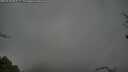 ./images/calvert/fitz-hugh-hecate/20250428/fitz-hugh-hecate20250428_081507M.jpg