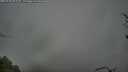 ./images/calvert/fitz-hugh-hecate/20250428/fitz-hugh-hecate20250428_082510M.jpg