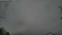 ./images/calvert/fitz-hugh-hecate/20250428/fitz-hugh-hecate20250428_083011M.jpg
