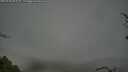 ./images/calvert/fitz-hugh-hecate/20250428/fitz-hugh-hecate20250428_083510M.jpg