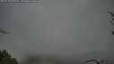 ./images/calvert/fitz-hugh-hecate/20250428/fitz-hugh-hecate20250428_084010M.jpg