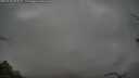 ./images/calvert/fitz-hugh-hecate/20250428/fitz-hugh-hecate20250428_084509M.jpg