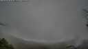 ./images/calvert/fitz-hugh-hecate/20250428/fitz-hugh-hecate20250428_085010M.jpg