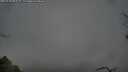 ./images/calvert/fitz-hugh-hecate/20250428/fitz-hugh-hecate20250428_085509M.jpg