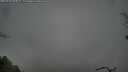 ./images/calvert/fitz-hugh-hecate/20250428/fitz-hugh-hecate20250428_090009M.jpg