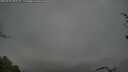 ./images/calvert/fitz-hugh-hecate/20250428/fitz-hugh-hecate20250428_090508M.jpg