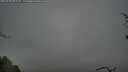 ./images/calvert/fitz-hugh-hecate/20250428/fitz-hugh-hecate20250428_091010M.jpg