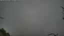 ./images/calvert/fitz-hugh-hecate/20250428/fitz-hugh-hecate20250428_092009M.jpg