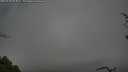 ./images/calvert/fitz-hugh-hecate/20250428/fitz-hugh-hecate20250428_093011M.jpg
