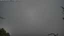 ./images/calvert/fitz-hugh-hecate/20250428/fitz-hugh-hecate20250428_093510M.jpg