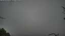 ./images/calvert/fitz-hugh-hecate/20250428/fitz-hugh-hecate20250428_094010M.jpg